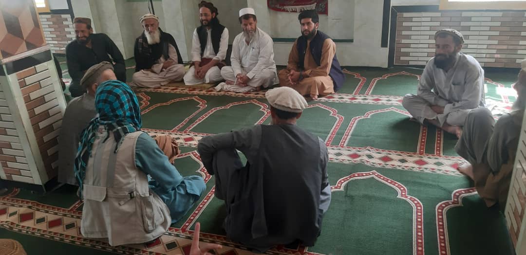 لغمان کې د ځنګلونو خوندیتوب او پراختیا په پار هڅې