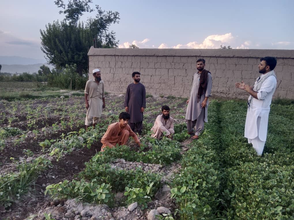 د ننګرهار بهسود کې یوشمېر کروندګر وروزل شول