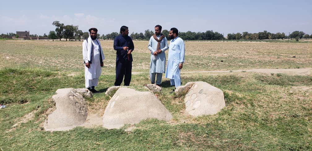 د ننګرهار کانال شرکت په ۲۰۰ جریبه ځمکه اصلاح شوي تخمونه کرل شوي