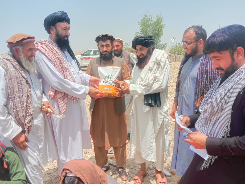ننګرهار کې لسګونو کروندګرو سره د جوارو تخم او کیمیاوي سرو مرسته وشوه