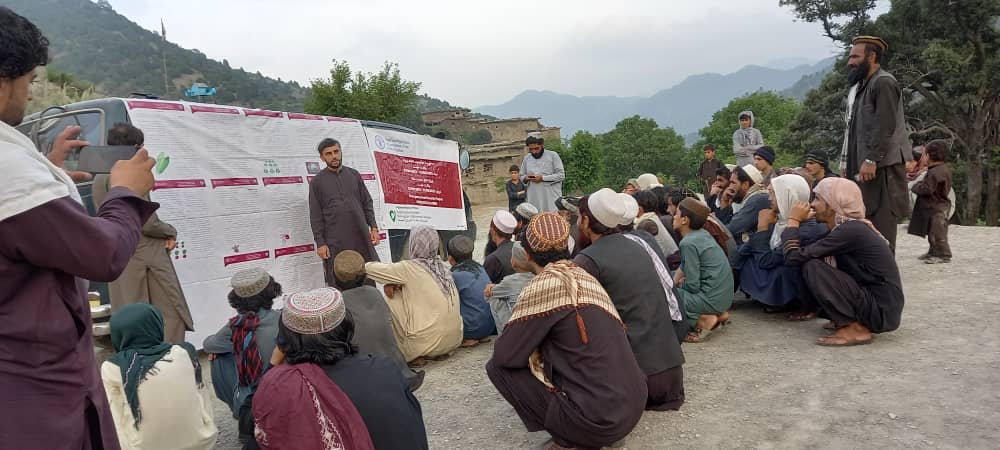 خوست کې پر ۴۰۱ بزګرانو د سبو تخمونه ووېشل شول