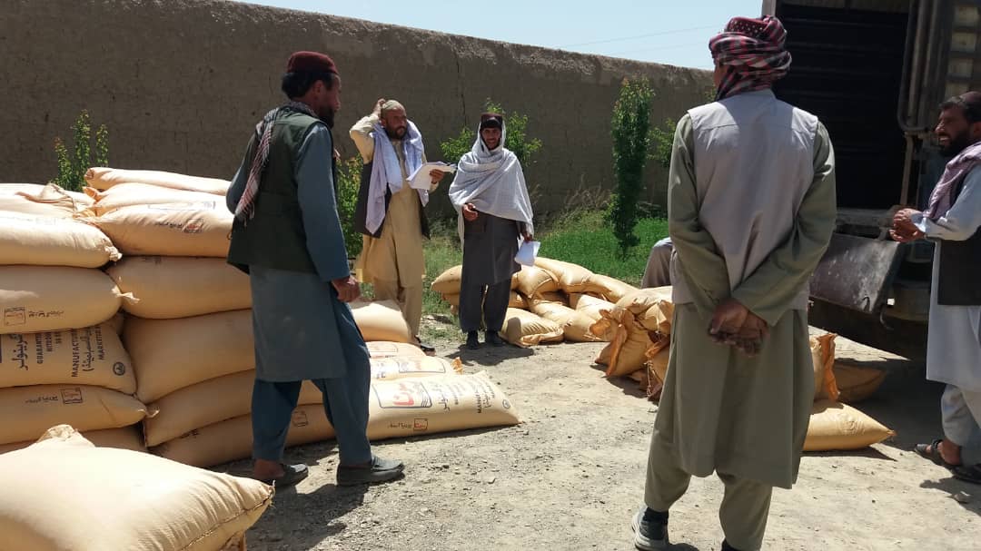 میدان وردګو ولسوالی کې پر یوشمېر بڼوالو کیمیاوي سرې ووېشل شوې