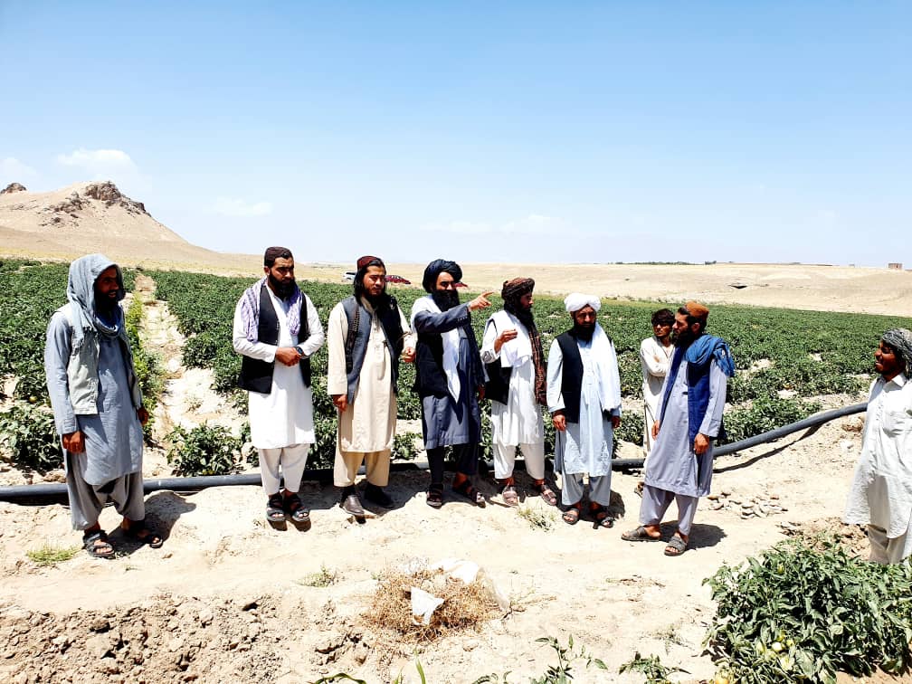 پروان کې د ځمکې د غصب مخنیوی او غصب شویو ځمکو د بېرته را ګرځولو کمېټې کړنې