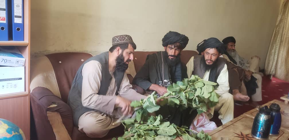 اروزګان کې یوشمېر بڼوال وروزل شول