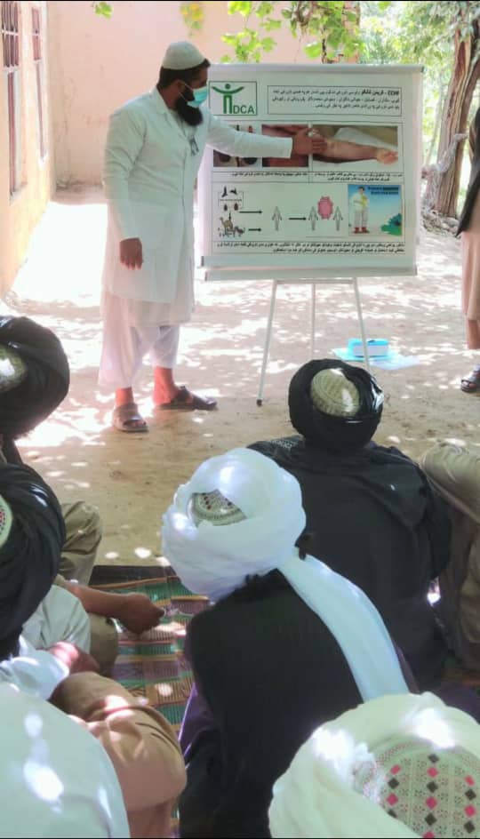 د هلمند ناد علي کې لسګونه مالداران روزل کېږي