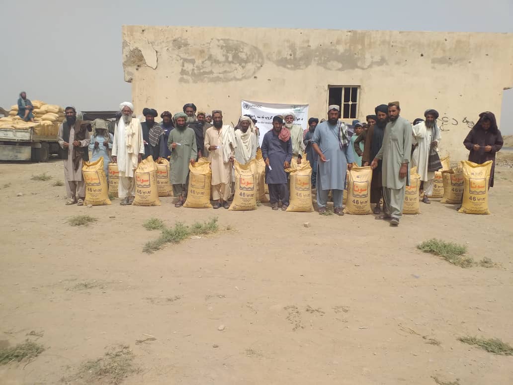 دهلمند دکرنې ریاست: مارجې ولسوالی کې  ١١٠ بزګرانو سره د کیمیاوي سرو مرسته وشوه 