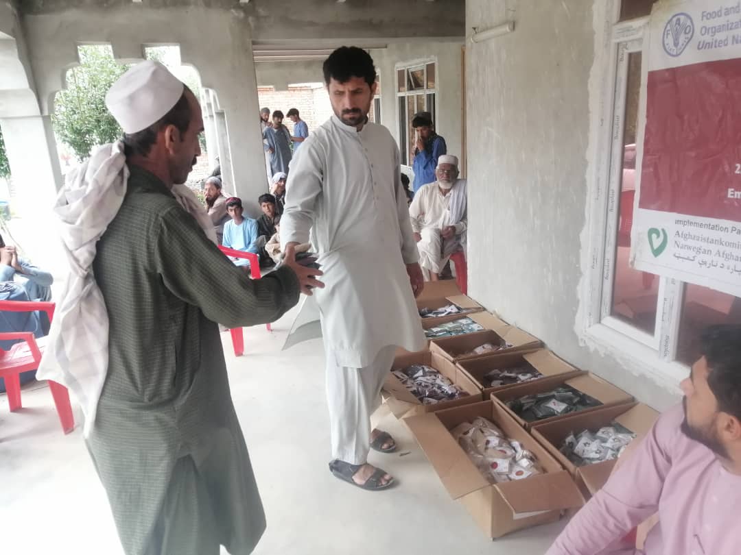 د خوست نادر شاه کوټ کې پر ١٦٧ بزګرانو د سبو تخمونه ووېشل شول