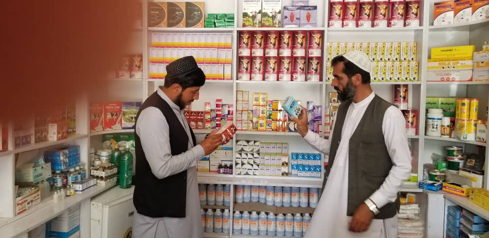 د پکتیا مرکز کې یوشمېر حیواني او نباتي درملتونونه وڅارل شول
