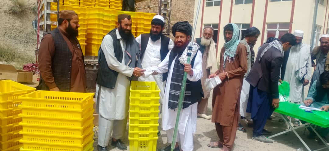 د پکتیا میرزکي کې پر لسګونو بڼوالو د بڼوالۍ توکي ووېشل شول