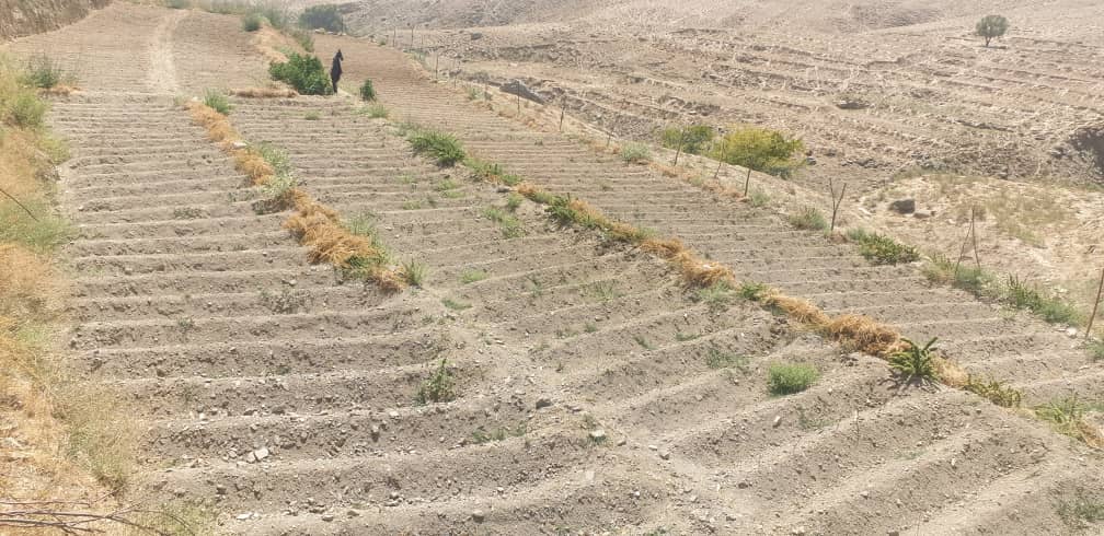 بازدید از قطعات نمایشی هنگ در ولسوالی استالف ولایت کابل