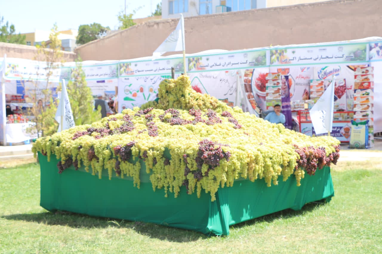 راهاندازی هفتمین جشنواره انگور هرات