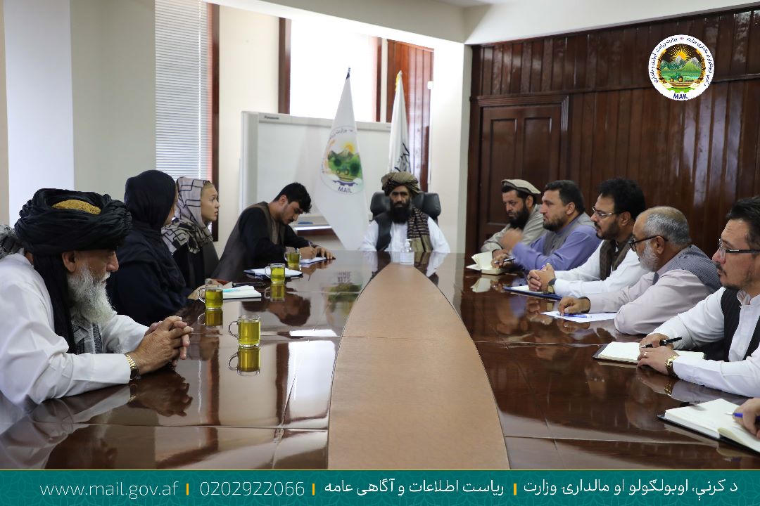 د اوبولګولو او طبیعي سرچینو مرستیال په افغانستان کې د یوناما له چارواکو سره وکتل