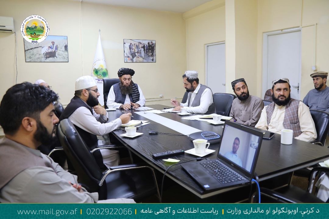د کرنې په سکتور کې د بهر میشتو افغان سوداګرو د پانګونې د راجلبولو هڅې