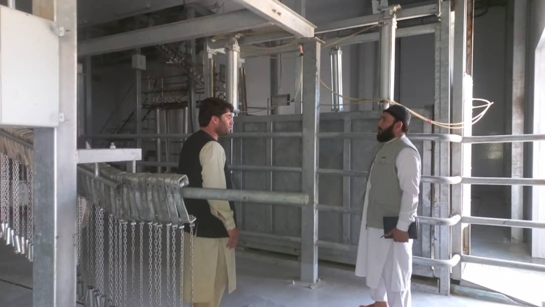 نظارت و کنترول از مسلخهای ولسوالی شکر دره و چهار آسیاب ولایت کابل