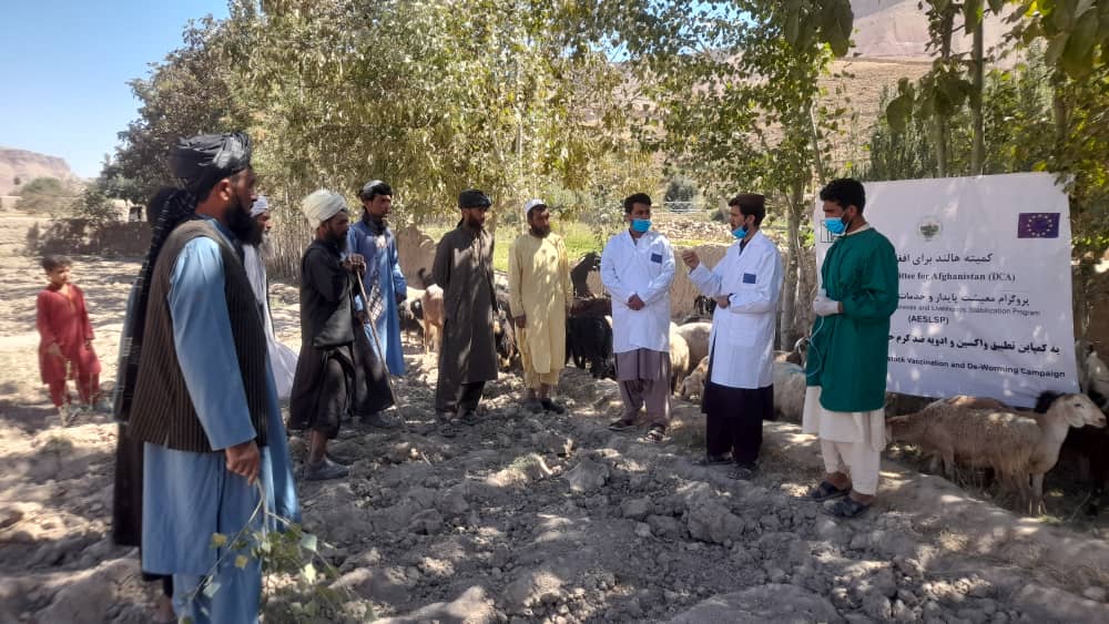 افتتاح کمپاین تطبیق واکسین بیماری طاعون و آبله حیوانی در ولایت بادغیس