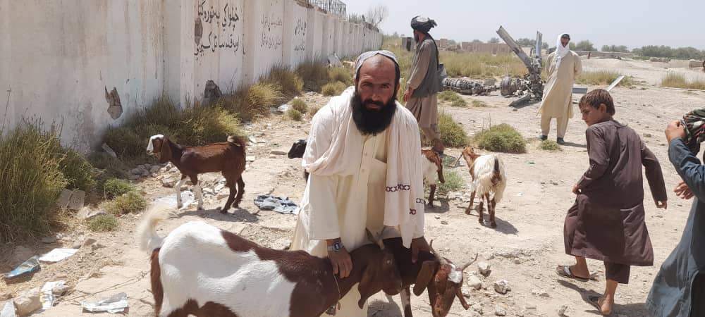 د هلمند ناوې ولسوالی کې پر ۴٠ کورنیو وزې ووېشل شوې