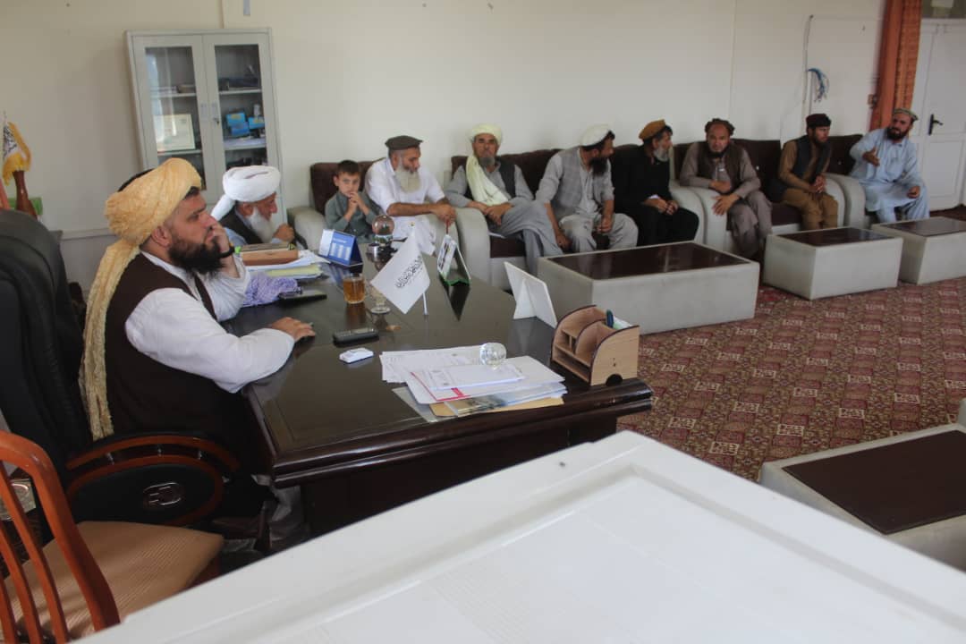لغمان کې د ځنګلونو خوندیتوب په پار هڅې