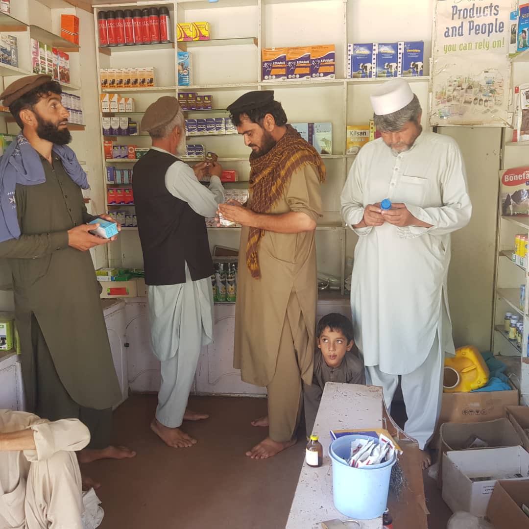 د ننګرهار خوږیانو ولسوالی کې یوشمېر حیواني او نباتي درملتونونه وڅارل شول
