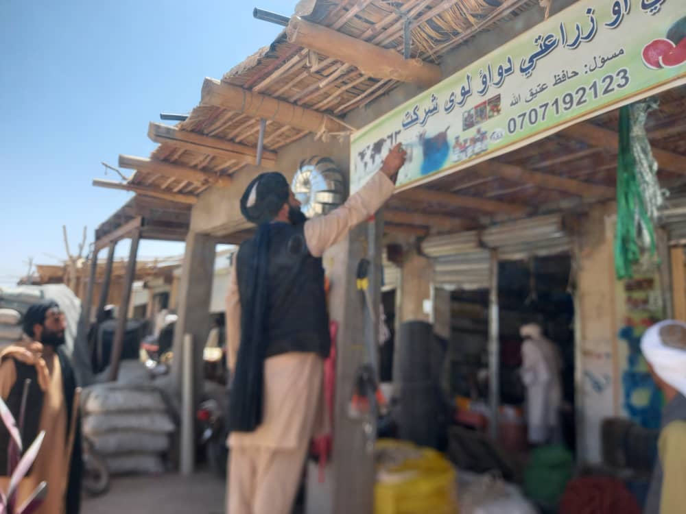 د اروزګان مرکز کې یوشمېر حیواني او نباتي درملتونونه وڅارل شول