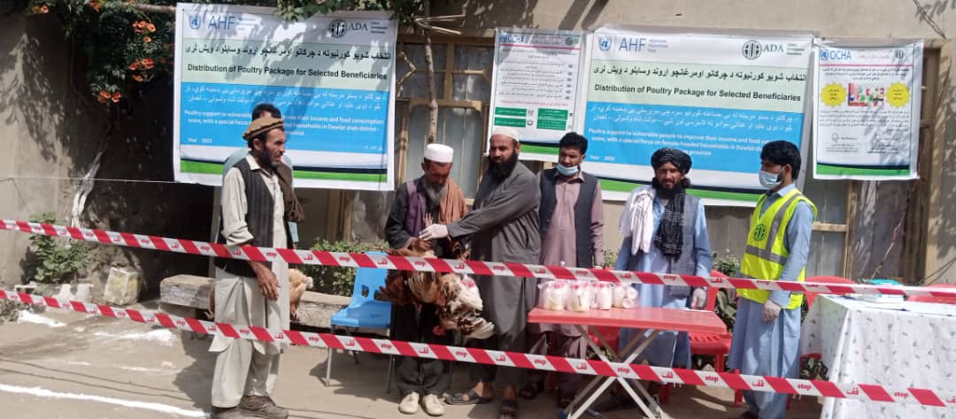 برای بیش از یک‌هزار نفر در ولایت لغمان فارم ۳۰ قطعه‌ی مرغ توزیع شد