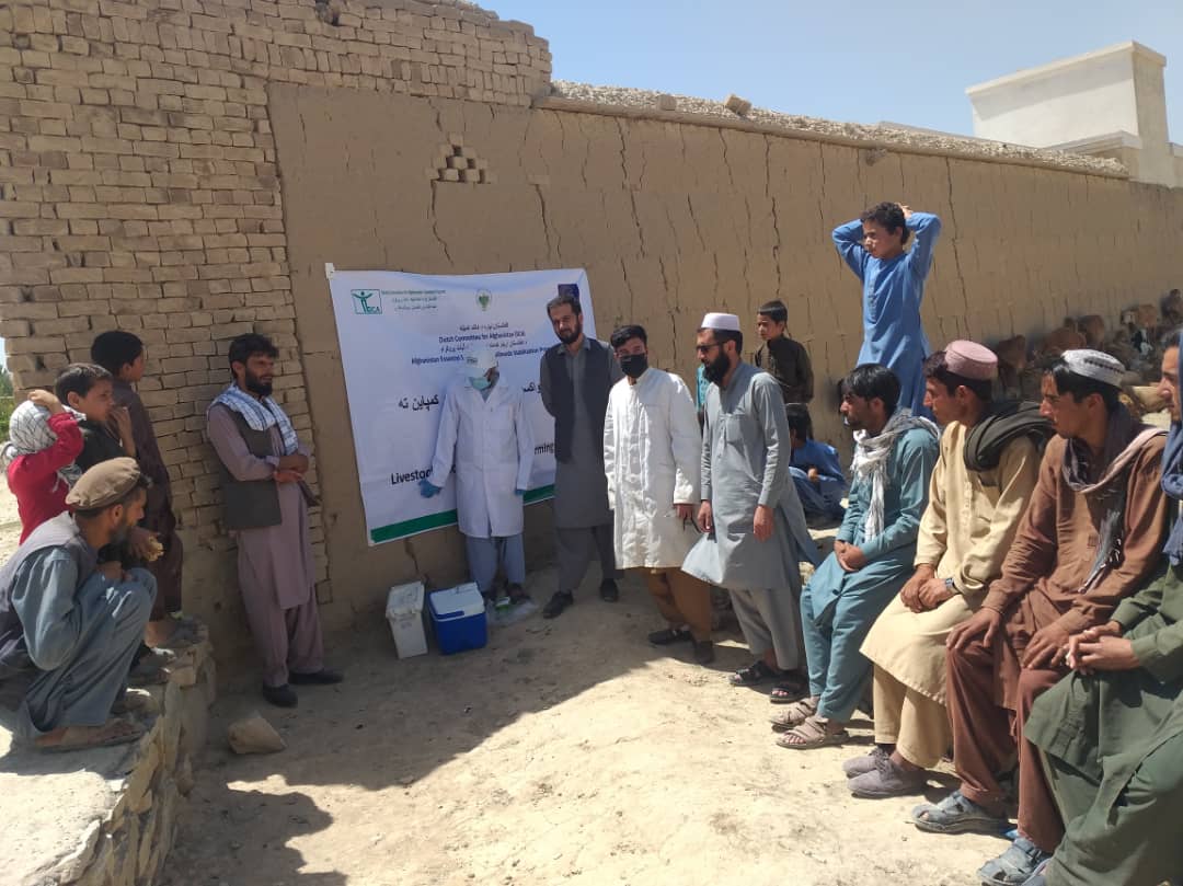 کمپاین واکسین طاعون در ولسوالی قره باغ ولایت کابل آغاز گردید