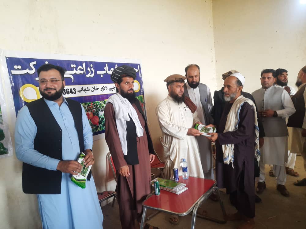 لغمان کې پر ۲۰۰ بزګرانو د بادرنګو اصلاح شوي تخمونه ووېشل شول