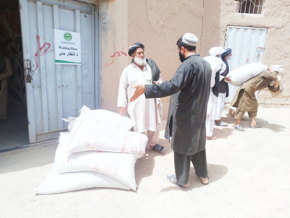 د هلمند نادعلي کې پر ۵۰۰ بزګرانو د څارویو خوراکي توکي او د شفتلو تخم وېش لړۍ پیل شو