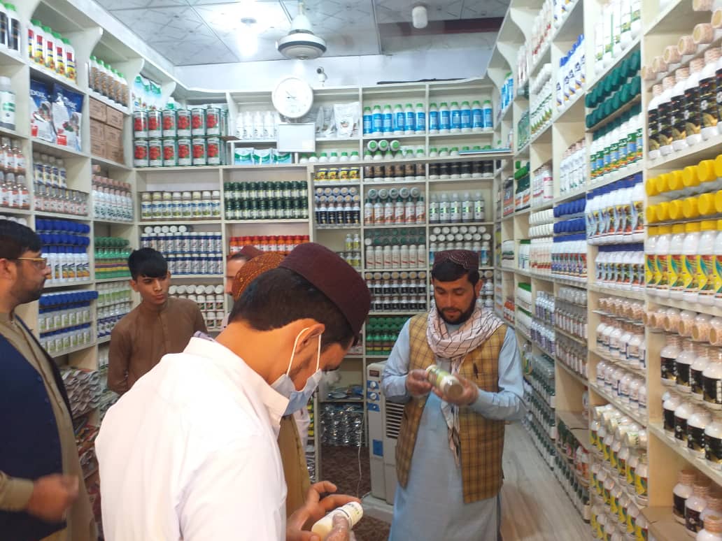 جلال آباد ښار کې یوشمېر حیواني او نباتي درملتونونه وڅارل شول