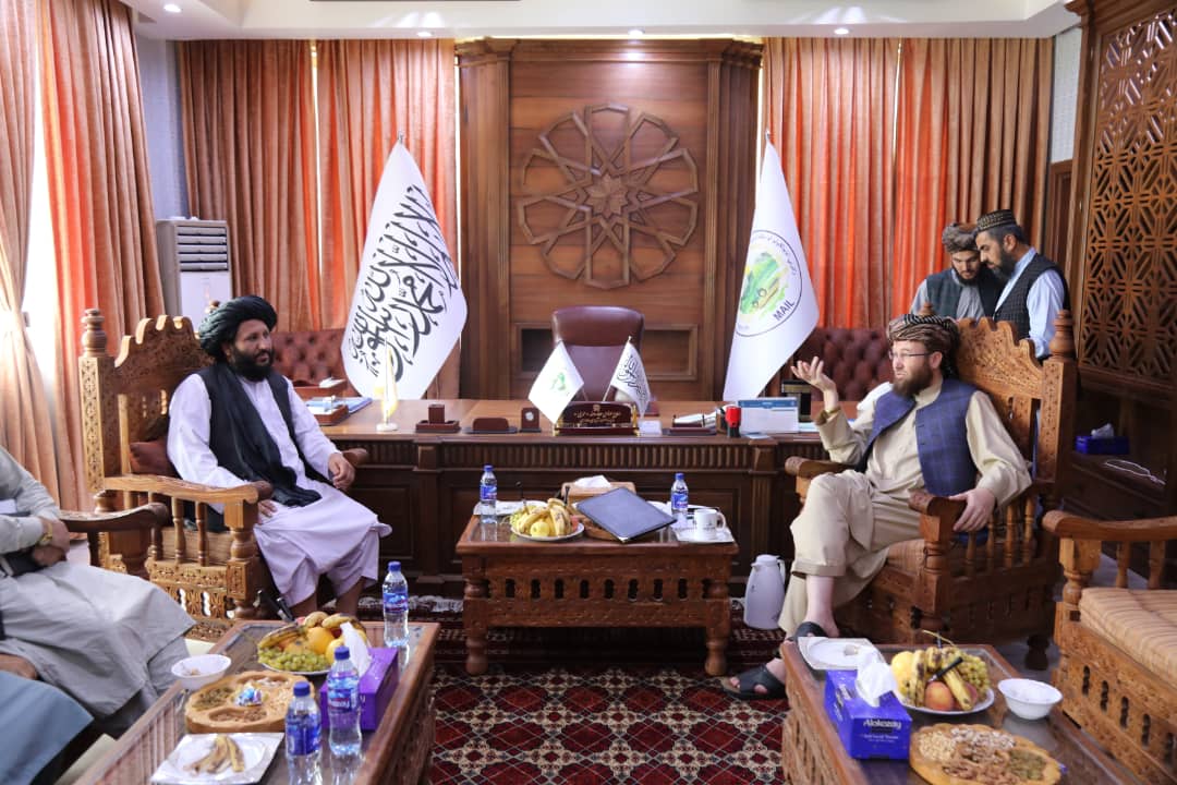 دکرنې وزير ولسي کتنې
