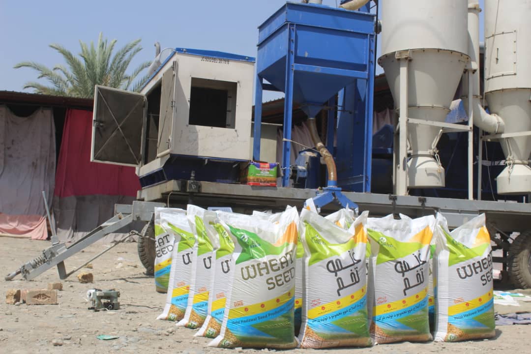 د ننګرهار کانال شرکت: د غنمو اصلاح شویو تخمونو کچه ۲۰۰۰ میټریک ټنو ته لوړؤ