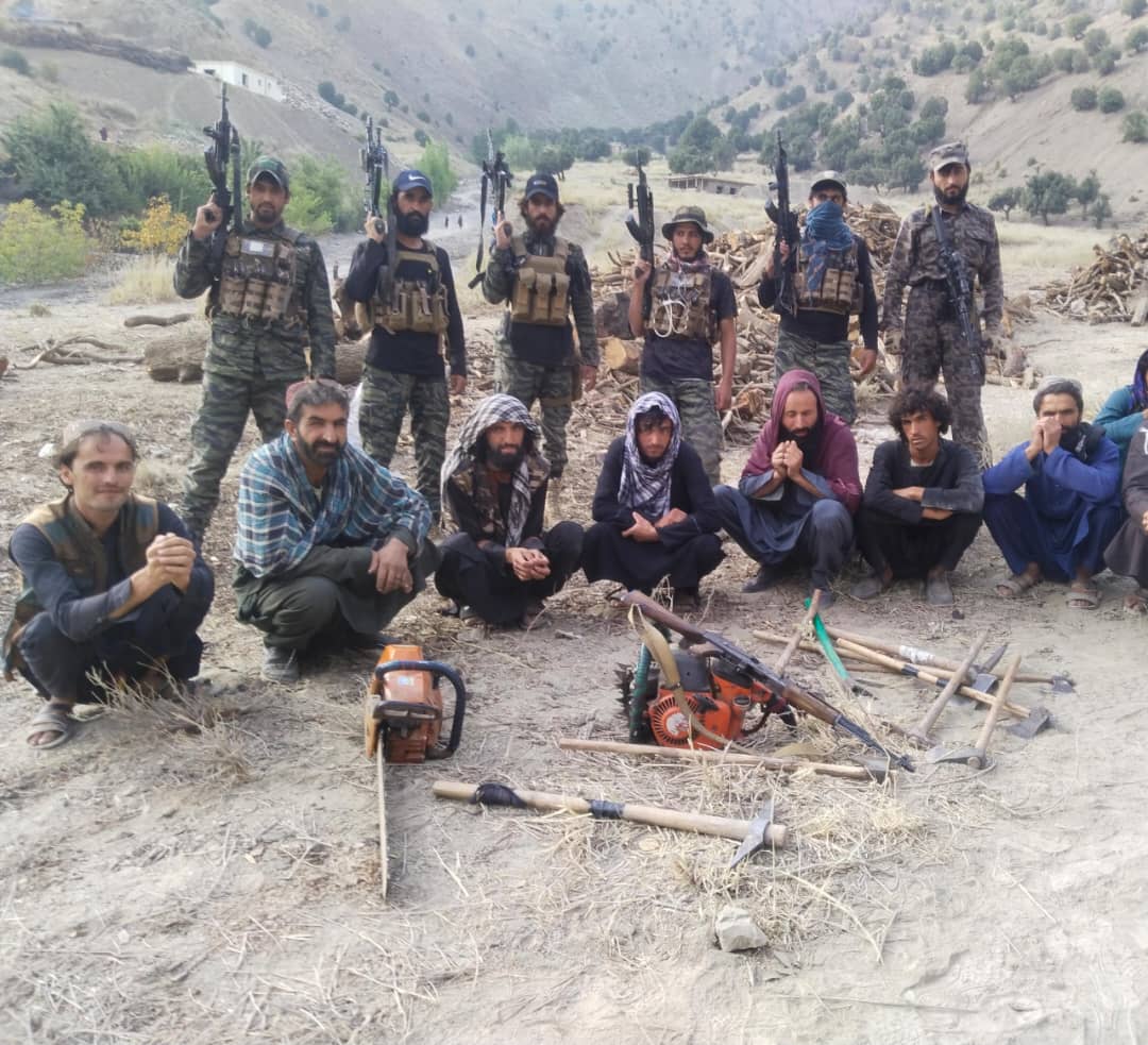 خوست کې د ځنګلونو د پرېکولو په تور ۲۷ کسان نیول شوي