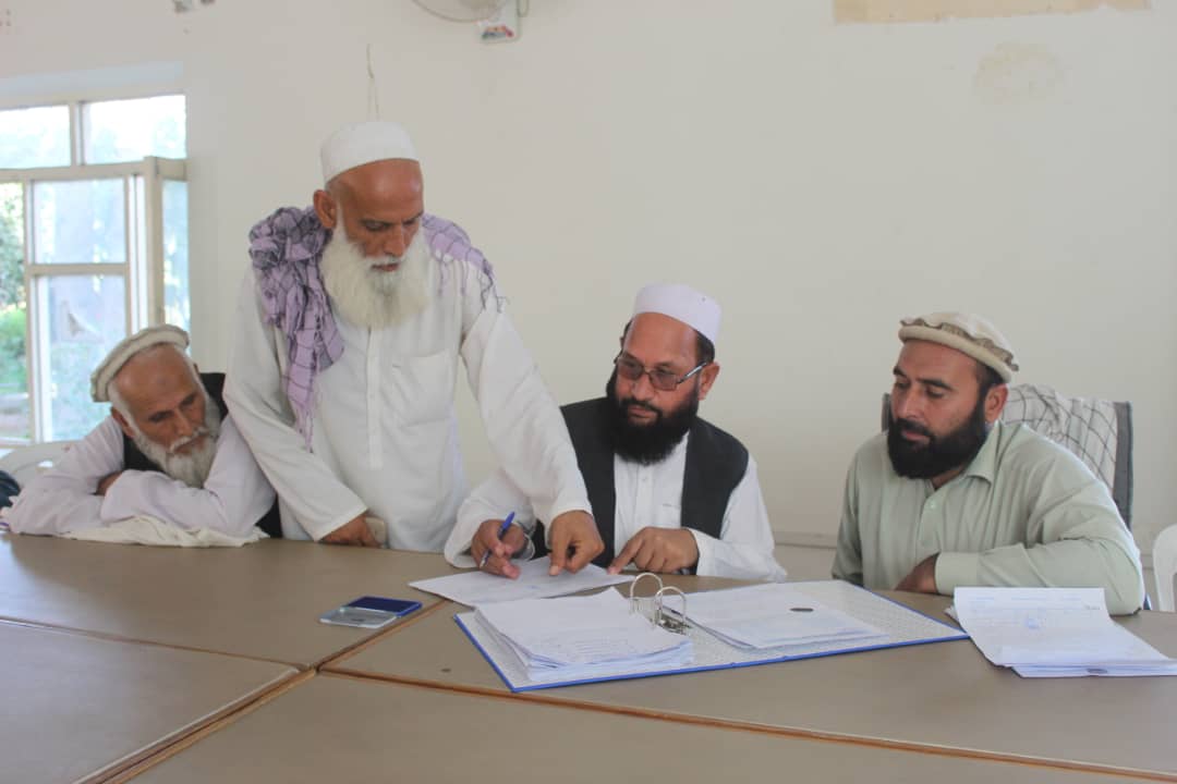 د کانال شرکت عوایدو زیاتوالي په پار هڅې؛ د نارنجانو بولي ترسره شوه