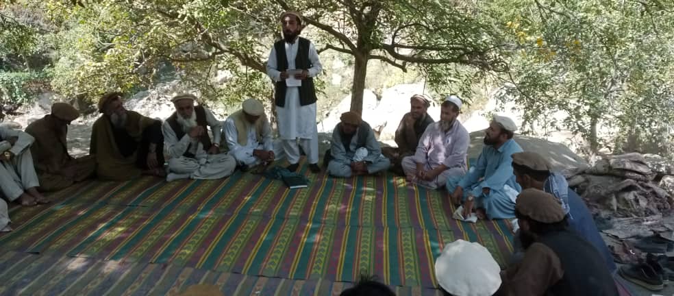 لغمان کې د ځنګلونو خوندیتوب او پراختیا په پار هڅې