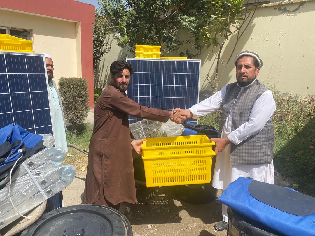 سروبي کې پر یوشمېر بڼوالو د بڼوالۍ توکي ووېشل شوې