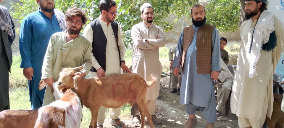 د بې وزله کورنیو ملاتړ په پار هڅې؛ لغمان کې ۳۵ بېوزله او اړمنو کورنیو ته وزې ورکړل شوې