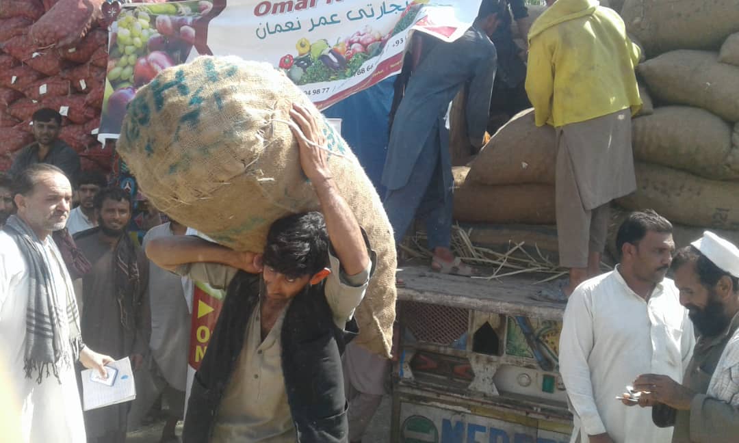 لغمان کې له یوشمېر بزګرانو سره د کچالو تخمونو مرسته وشوه