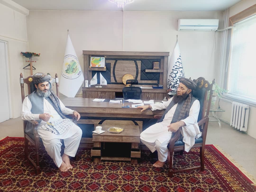 د کرنې او مالدارۍ مرستیال د کابل پوهنتون له رییس سره وکتل