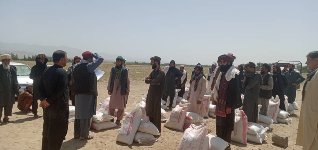 پکتیا کې پر ۴۶۷ کورنیو د څارویو خوراکي توکي ووېشل شوې