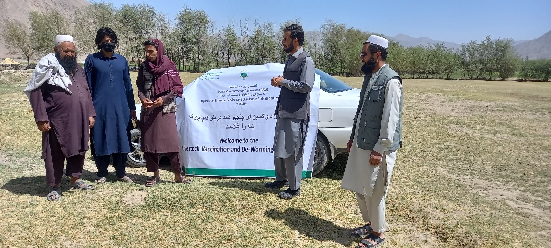 د کابل موسهي کې وړو شخوند وهونکو څارویو ته د واکسینونو د تطبیق لړۍ پیل شو