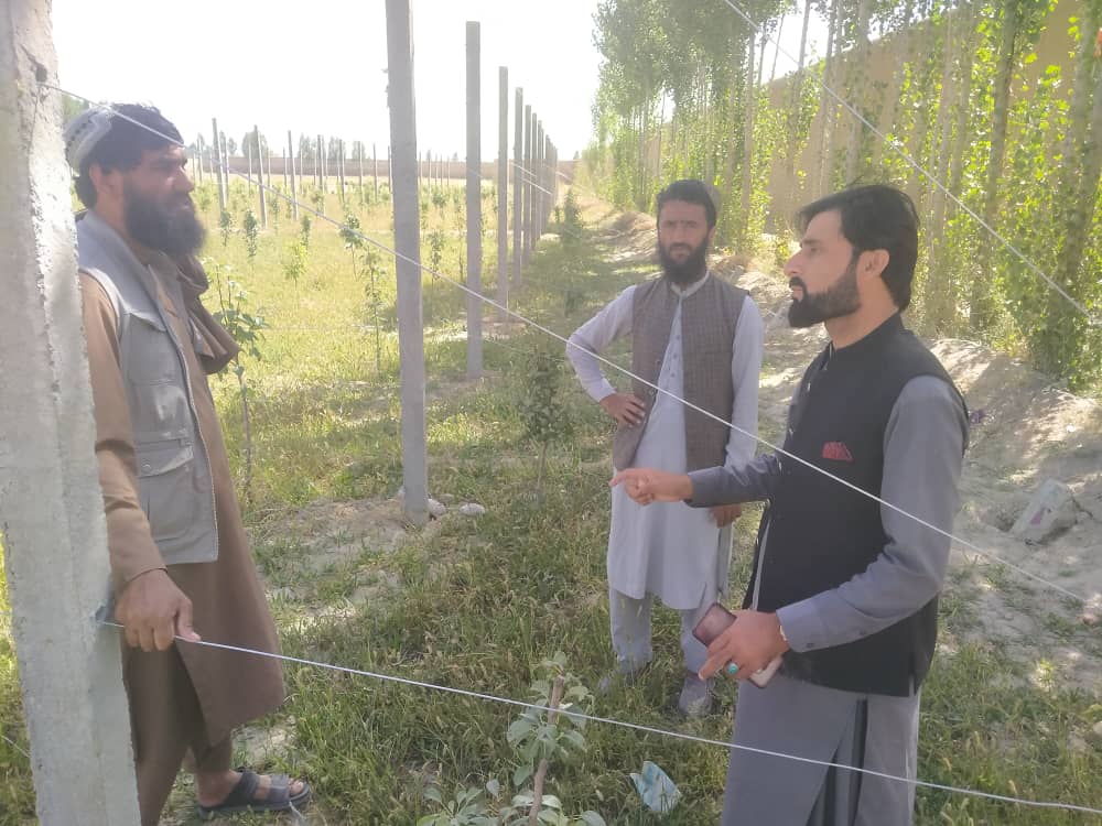 پکتیکا کې د بڼونو خوندیتوب او پراختیا په پار هڅې