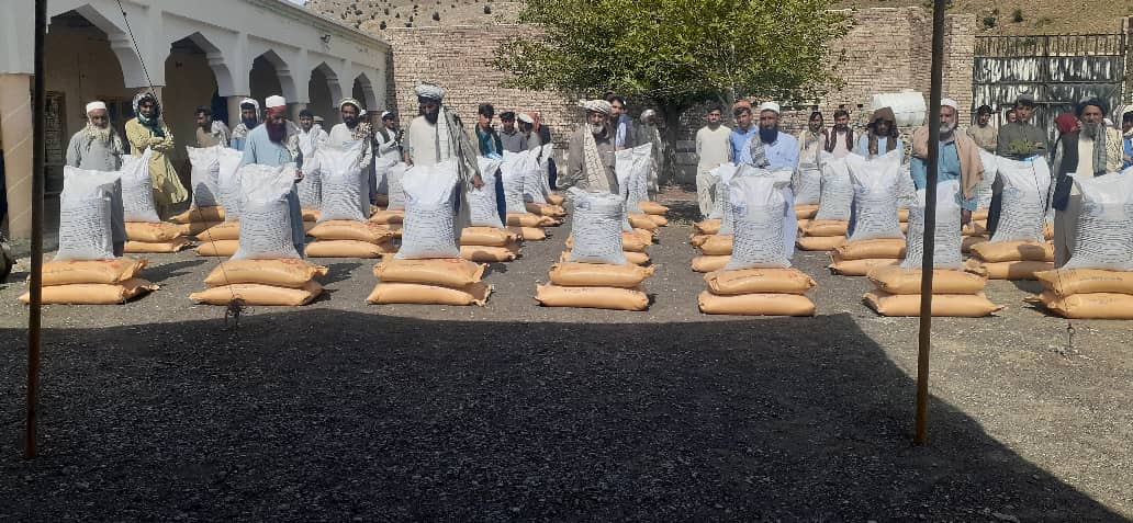 د خوست علیشېر کې پر ۱۰۰ بزګرانو د اصلاح شویو غنمو او کیمیاوي سرو د وېش لړۍ پیل شو