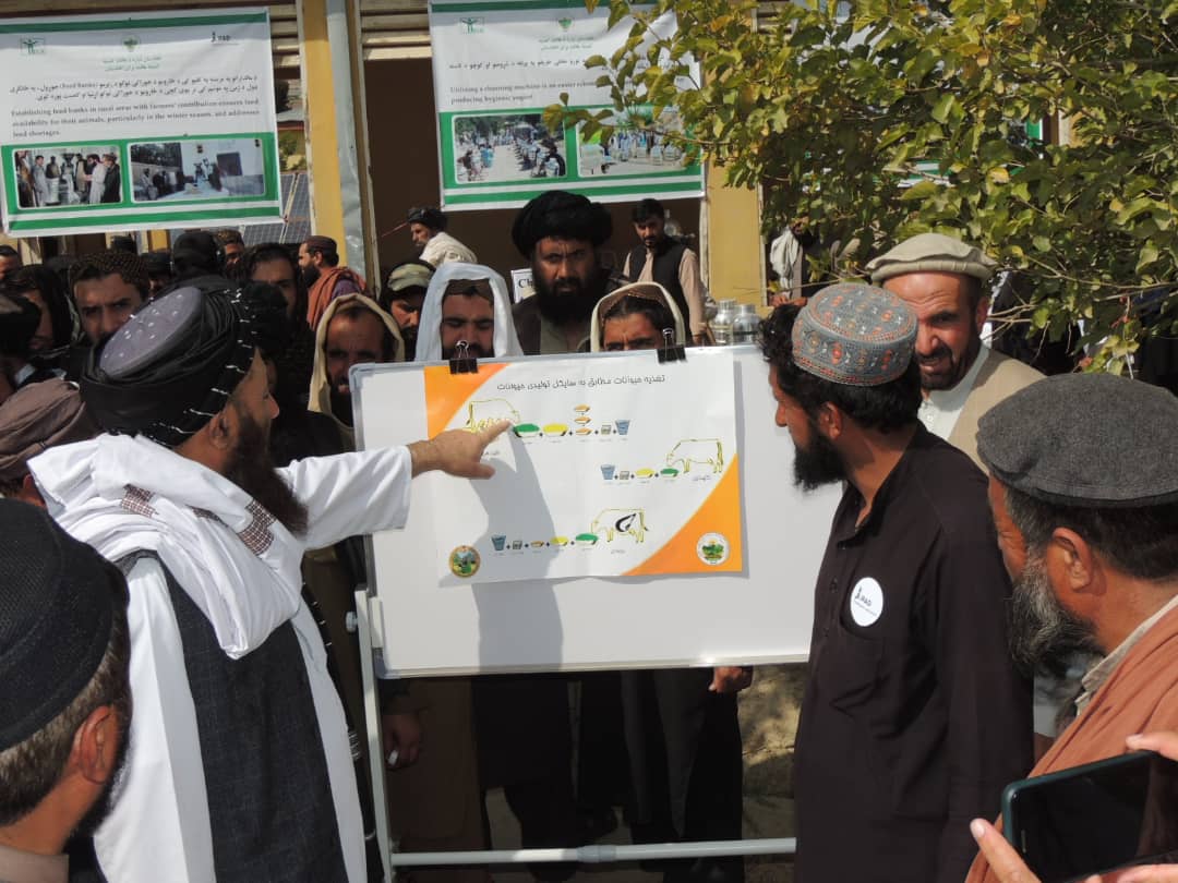 لوګر کې د مالدار ورځې لمانځ غونډې ترڅنګ هالند کمېټې د پلي شويو پروژو نندارتون جوړ کړ