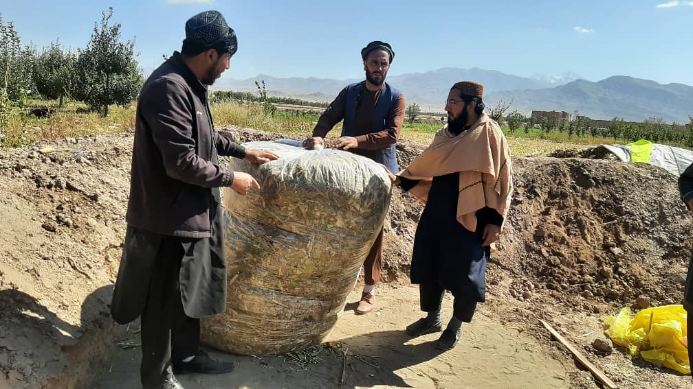 پکتیا کې یوشمېر مالداران وروزل شول