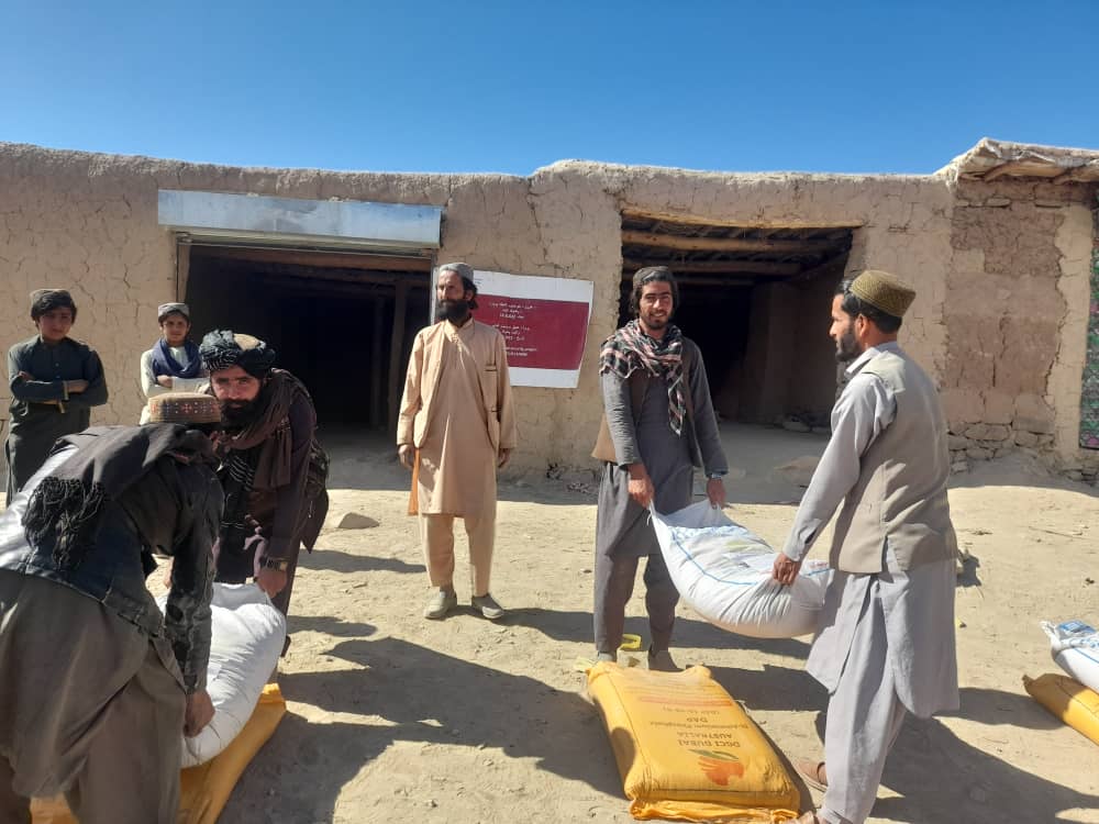 د پکتیکا اومنه کې پر یوشمېر بزګرانو د غنمو اصلاح شوی تخم او کیمیاوي سرې وېشل شوي