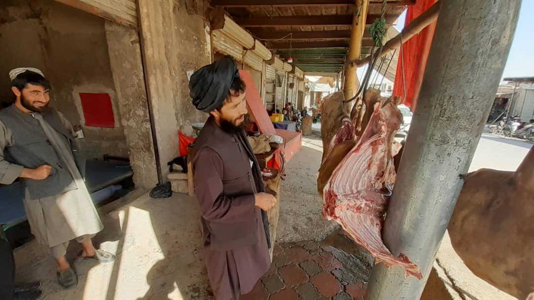 د اروزګان مرکز کې د چرګانو پلورنځۍ او قصابۍ وڅارل شول