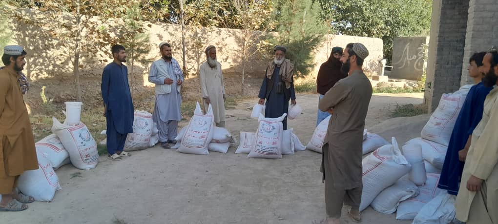 توزیع مرغ‌ تخمی برای ۲۵ فامیل مستحق در ولسوالی چهاردره ولایت کندز