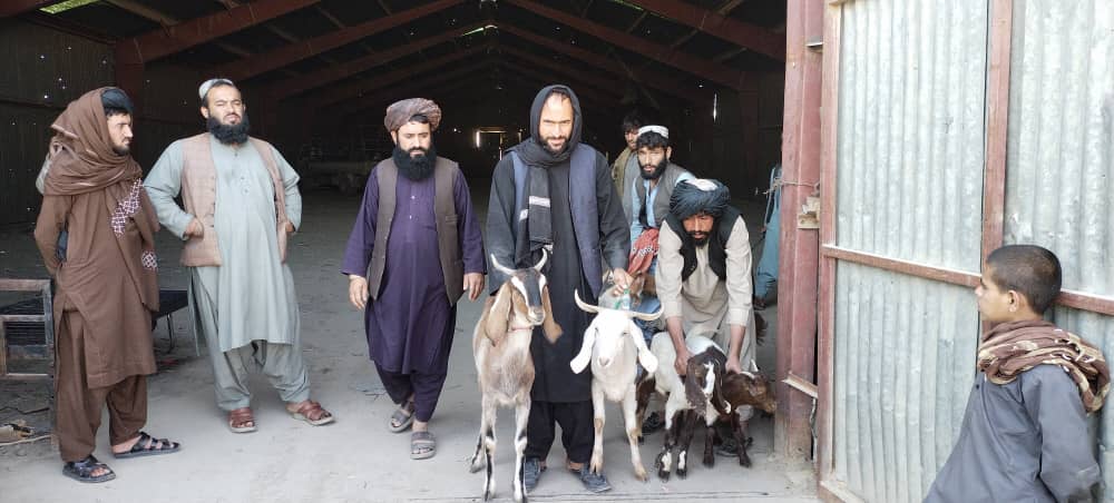 هلمند کې لسګونو بې وزله، یتیمو او کونډو کورنیو سره مرسته وشوه