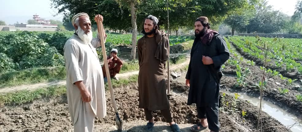 د ننګرهار دکرنې ریاست: دعشر تګلارې په موخه بزګرانو سره ناسته ترسره شوه