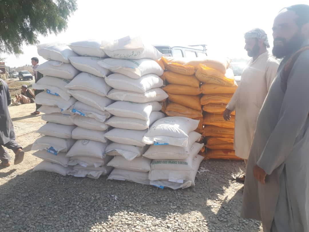 د خوست په دوو ولسوالیو کې کې پر څه باندې ۶۳۰ بزګرانو د غنمو اصلاح شوی تخم او کیمیاوي سرې وېشل شوي