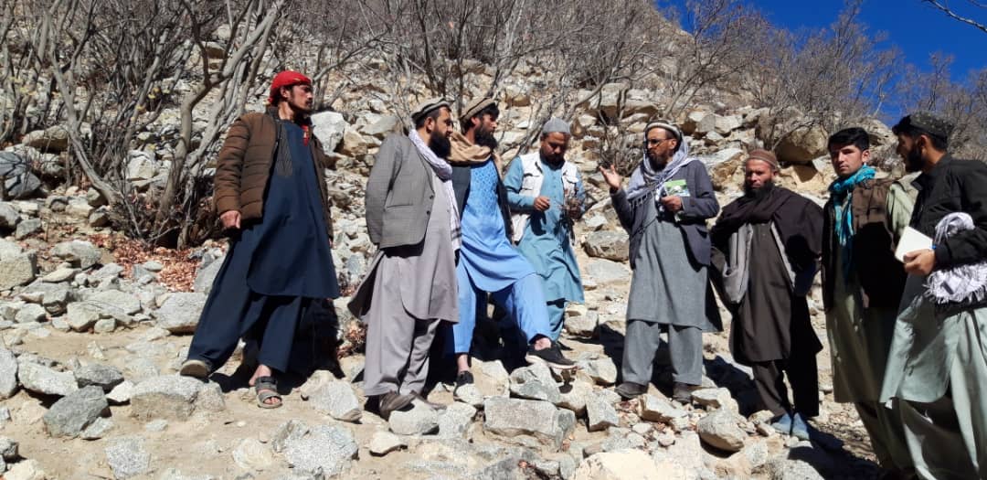 آغاز کمپاین مجادله میخانیکی علیه مور پتدار و مور خیمه ساز در ولایت بغلان